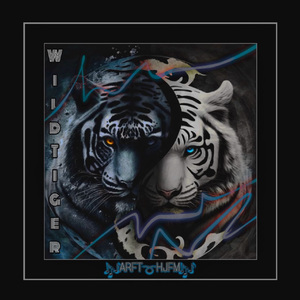 婚闹上新娘未删减版在线观看
